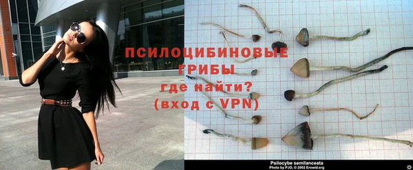 кокаин премиум Новодвинск