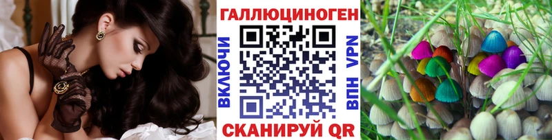 купить наркотик  Почеп  Псилоцибиновые грибы мицелий 
