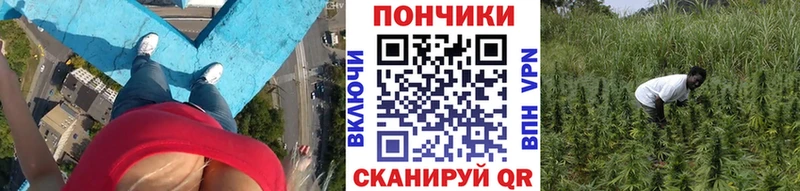 Марихуана тримм  Почеп 